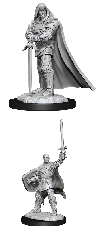 DND Unpainted Minis WV13 Human Paladin Male