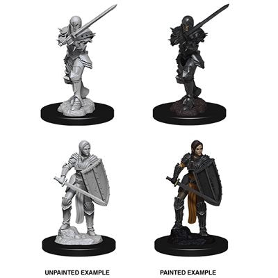 D&D Nolzur's Marvelous Unpainted Miniatures: Wave 9: Human Female Fighter