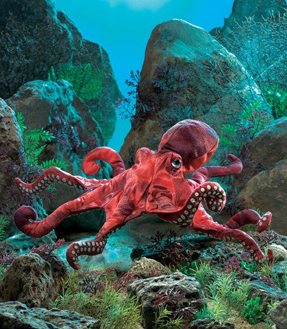 Red Octopus