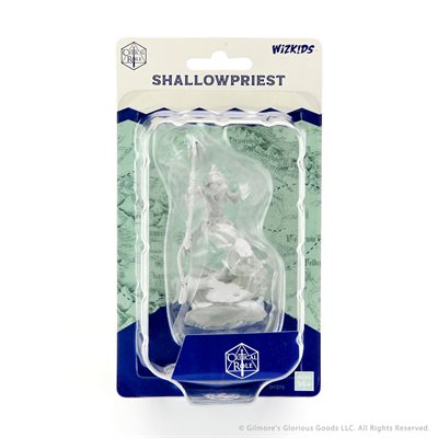 Critical Role Unpainted Miniatures Wave 1: Shallowpriest